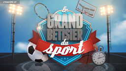 Le Grand Bêtisier du Sport