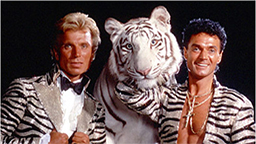 Captation A tribute to Siegfried & Roy