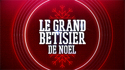 LE GRAND BÊTISIER DE NOËL