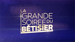 LA GRANDE SOIRÉE DU BÊTISIER