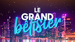 LE GRAND BÊTISIER